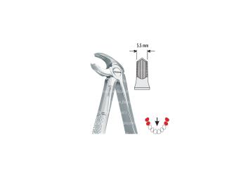 Extracting forceps children pattern fig. 22S