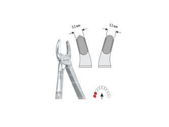 Extracting forceps children pattern fig. 39R