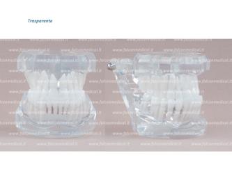 Real Series - Modello ortodontico, trasparente, Classe III